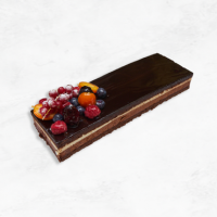 Brazo Sacher